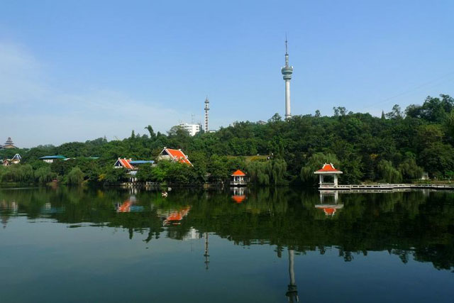 威客电竞(vkgame)-为竞技而生